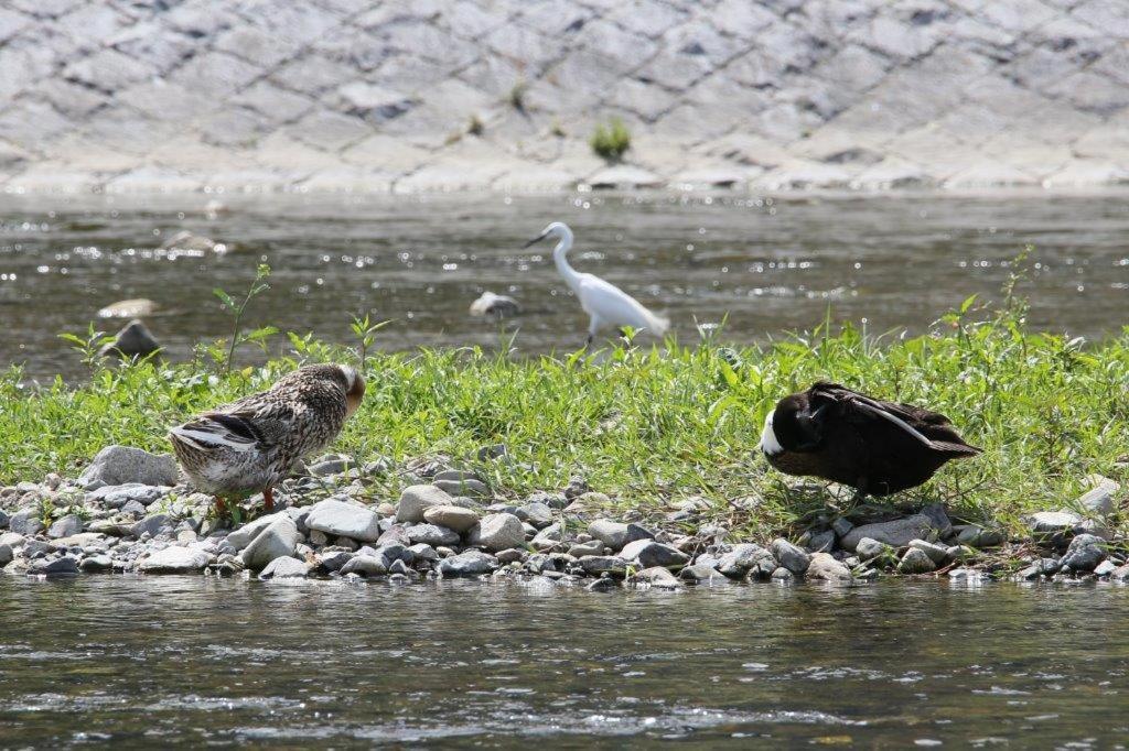 Kamogawa Nanajo Villa Kyoto Dış mekan fotoğraf